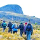 tour-companies-located-in-entebbe