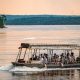 uganda-safari-combining-gorillas-chimps-and-wildlife