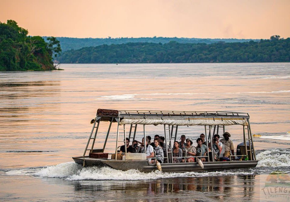 uganda-safari-combining-gorillas-chimps-and-wildlife