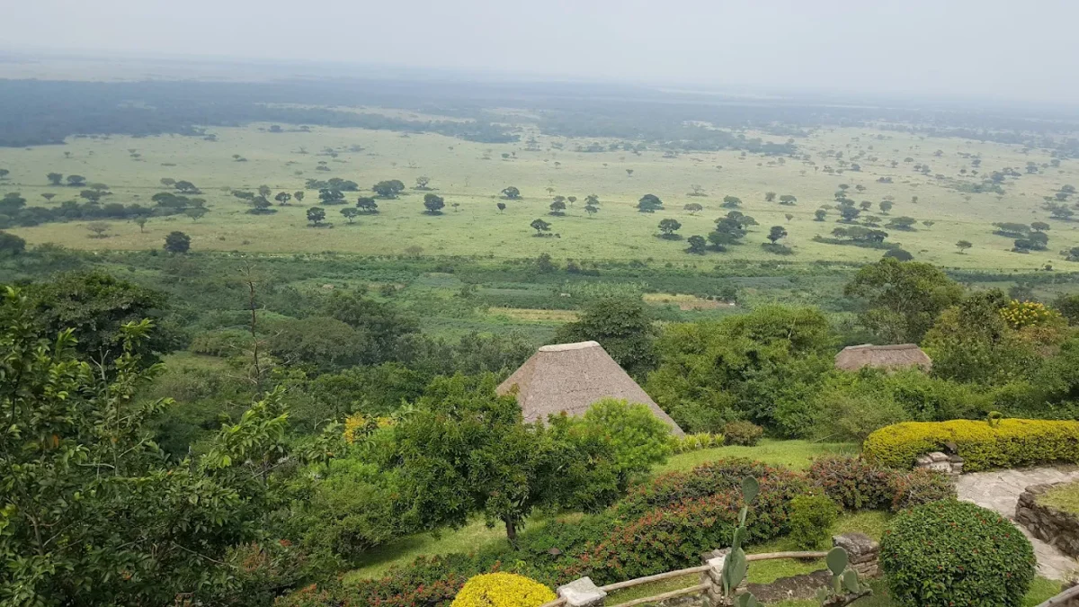 five-days-gorilla-and-game-safari-tour-in-uganda