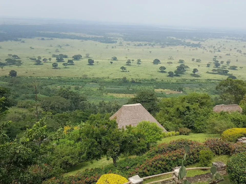 five-days-gorilla-and-game-safari-tour-in-uganda