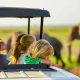 uganda-safaris-for-families-with-children
