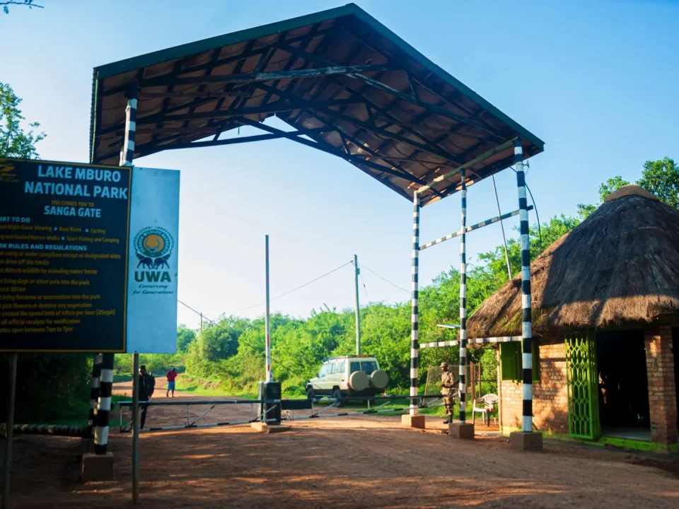 2-days-safari-to-lake-mburo-national-park
