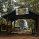 double-gorilla-trekking-tour-in-uganda