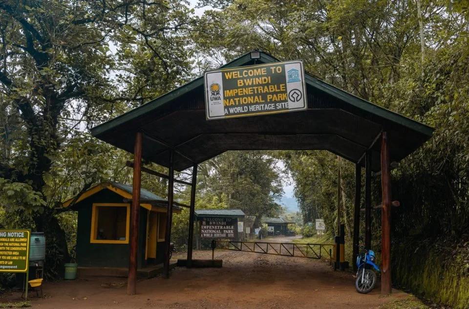 double-gorilla-trekking-tour-in-uganda