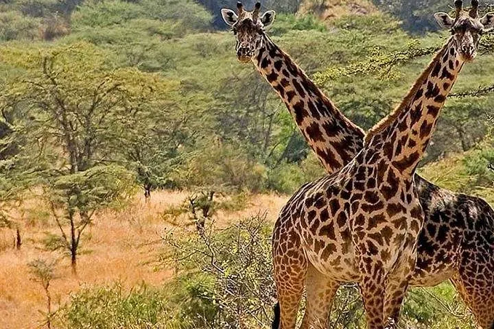 4-days-safari-to-sipi-falls-and-kidepo-national-park