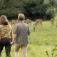short-safari-to-lake-mburo