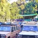 transport-companies-to-bwindi-national-park