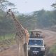 two-day-tour-to-lake-mburo-starting-from-kampala