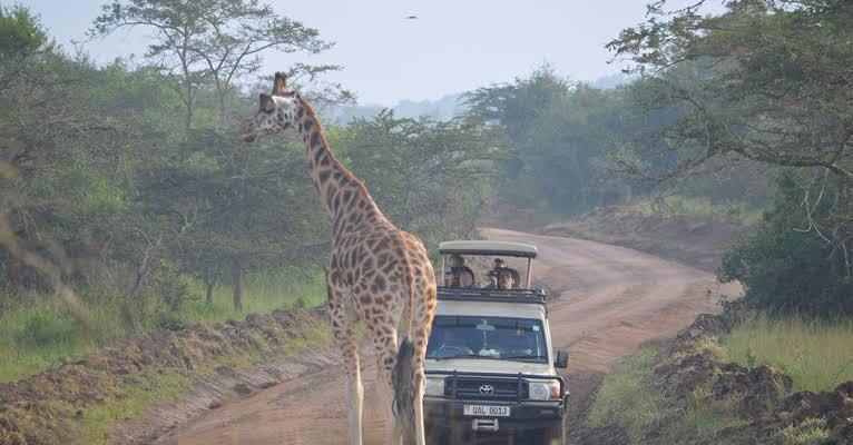 two-day-tour-to-lake-mburo-starting-from-kampala
