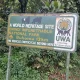 how-long-is-from-kigali-to-buhoma-bwindi-national-park