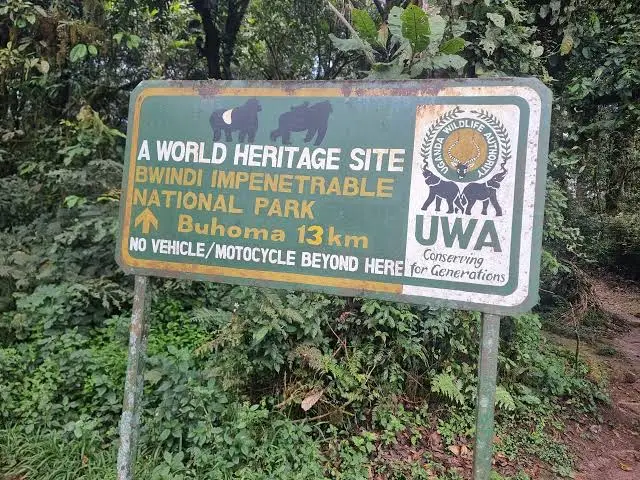 how-long-is-from-kigali-to-buhoma-bwindi-national-park