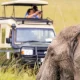 can-i-book-a-uganda-safari-now