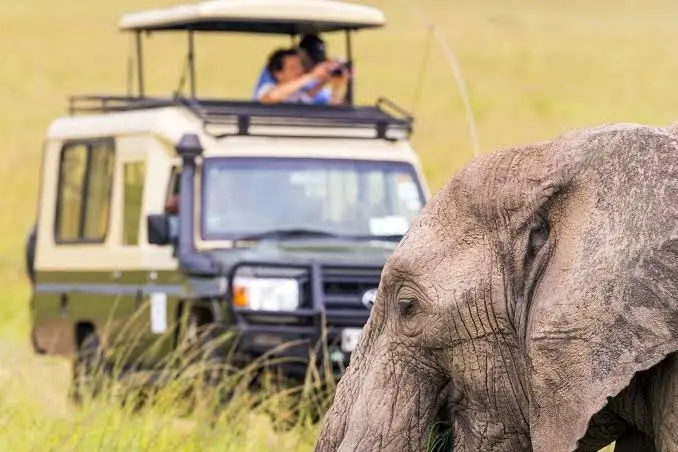 can-i-book-a-uganda-safari-now
