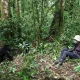 celebrating-birthday-on-uganda-gorilla-safari